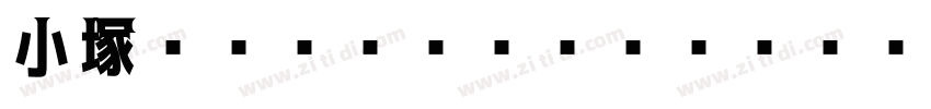 小塚ゴシック Pr6N R字体转换